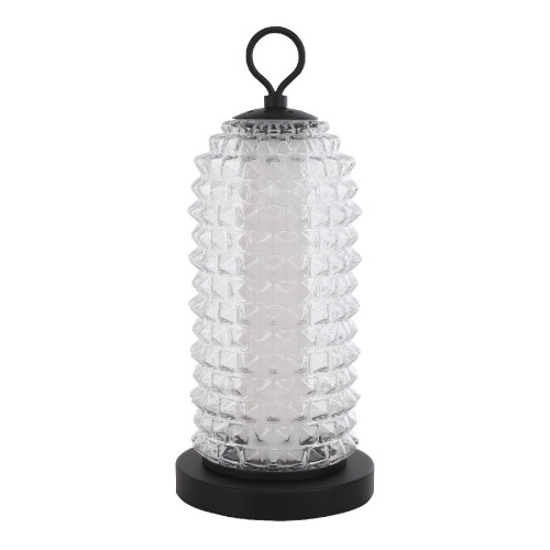 Настольная лампа ST Luce Saguaro SL6144.404.01