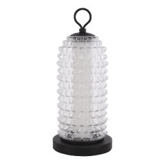 Настольная лампа ST Luce Saguaro SL6144.404.01