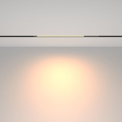 Трековый магнитный светильник Maytoni Technical Basis TR231-2-10W3K-B