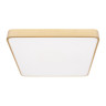 Потолочный светильник Loft IT Flims 10228/D
