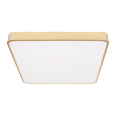 Потолочный светильник Loft IT Flims 10228/D