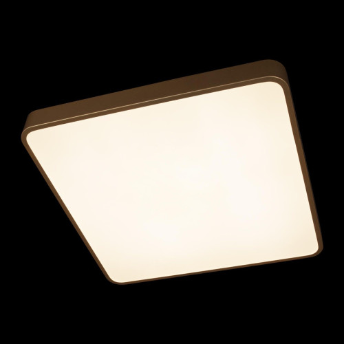 Потолочный светильник Loft IT Flims 10228/D