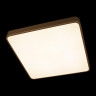 Потолочный светильник Loft IT Flims 10228/D