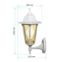 Уличный настенный светильник Apeyron Леда 11-99БЕЛ