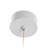 Подвесной светильник Citilux Hardy CL002P10