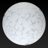 Настенно-потолочный светодиодный светильник Toplight Daniela TL9531Y-00WH