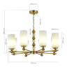 Подвесная люстра ST Luce Aurora SL2003.303.08