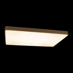 Потолочный светильник Loft IT Flims 10228/E
