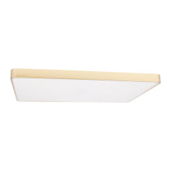 Потолочный светильник Loft IT Flims 10228/E