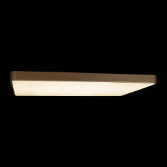 Потолочный светильник Loft IT Flims 10228/E