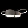 Потолочная люстра Loft IT Pin 10317/4 Grey
