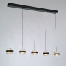 Подвесной светильник MD22030002-5B black/clear