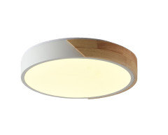 Потолочный светильник Zortes Alberro ZRS.01239.90
