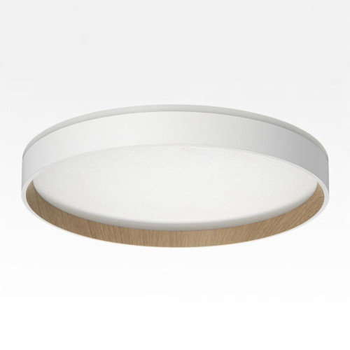 Накладной светильник Citilux Etalon CL750320R