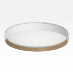 Накладной светильник Citilux Etalon CL750320R