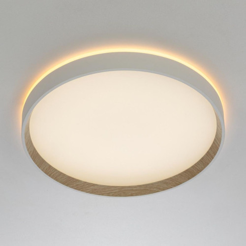 Накладной светильник Citilux Etalon CL750320R