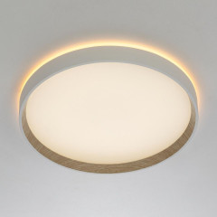 Накладной светильник Citilux Etalon CL750320R