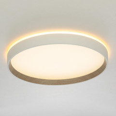 Накладной светильник Citilux Etalon CL750320R