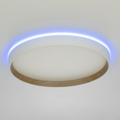 Накладной светильник Citilux Etalon CL750320R