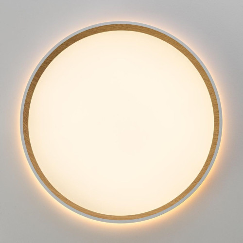 Накладной светильник Citilux Etalon CL750320R