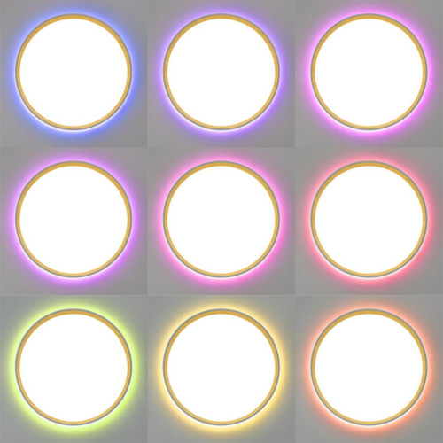 Накладной светильник Citilux Etalon CL750320R