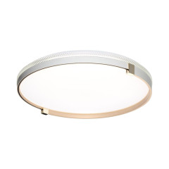 Настенно-потолочный светильник Sonex Pale Olidi White 7646/DLN