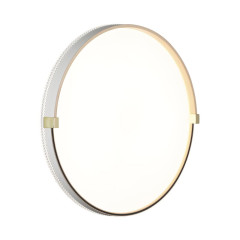 Настенно-потолочный светильник Sonex Pale Olidi White 7646/DLN