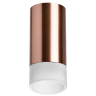 Накладной светильник Lightstar Rullo R43031 (214430+202431)