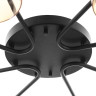 Потолочная люстра Citilux Espace CL243181