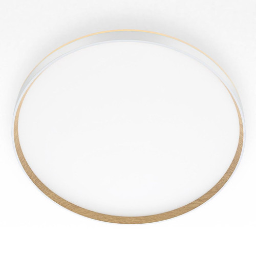 Накладной светильник Citilux Etalon CL750500R