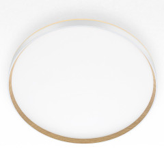 Накладной светильник Citilux Etalon CL750500R