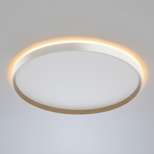 Накладной светильник Citilux Etalon CL750500R