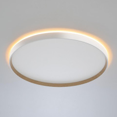 Накладной светильник Citilux Etalon CL750500R