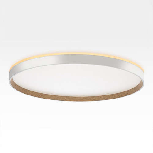 Накладной светильник Citilux Etalon CL750500R