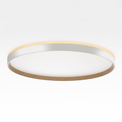 Накладной светильник Citilux Etalon CL750500R