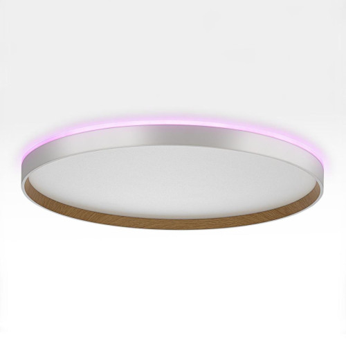 Накладной светильник Citilux Etalon CL750500R