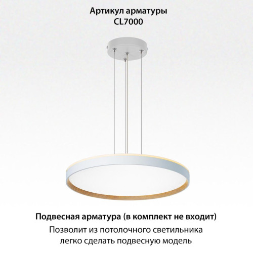 Накладной светильник Citilux Etalon CL750500R