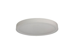Потолочный светильник Zortes Bella ZRS.1200.07