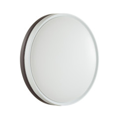 Настенно-потолочный светильник Sonex Color Nohava Brown 7668/ELN