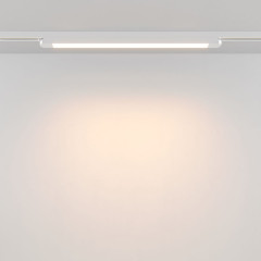 Трековый однофазный светильник Maytoni Technical Basis TR000-1-24W3K-W_1