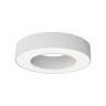 Потолочный светильник Maytoni Technical Lua C093CL-24W4K-W