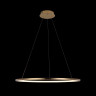 Подвесной светодиодный светильник Loft IT Ring 10014L