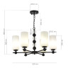 Подвесная люстра ST Luce Aurora SL2003.403.06