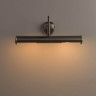 Подсветка для картин Arte Lamp Picture Lights III A5023AP-2SS
