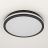 Потолочный светильник Citilux Luns CL711021V