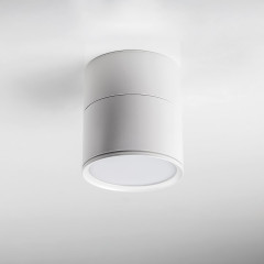 Накладной спот Lightstar Acuto 215886