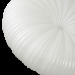 Потолочный светильник Lussole Claudia LSP-0921