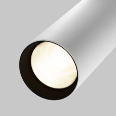 Трековый магнитный светильник Maytoni Focus LED TR032-2-20W3K-S-W