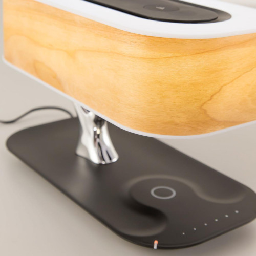 Настольная лампа Citilux Ньютон CL803042