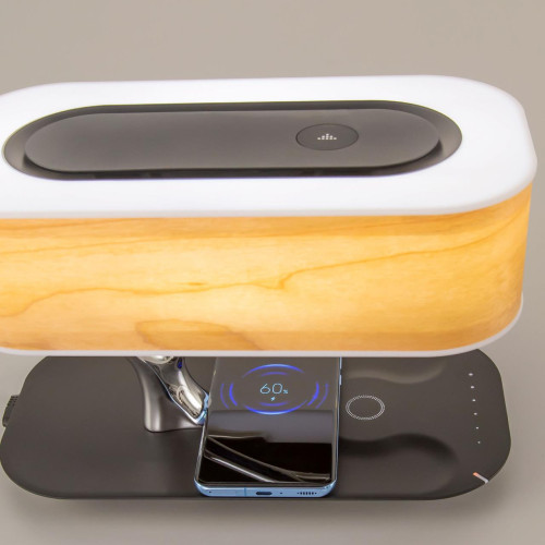 Настольная лампа Citilux Ньютон CL803042